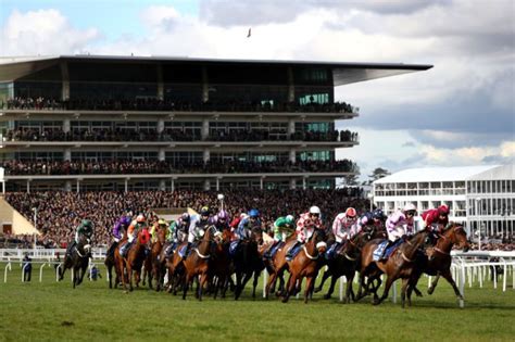 cheltenham race card today